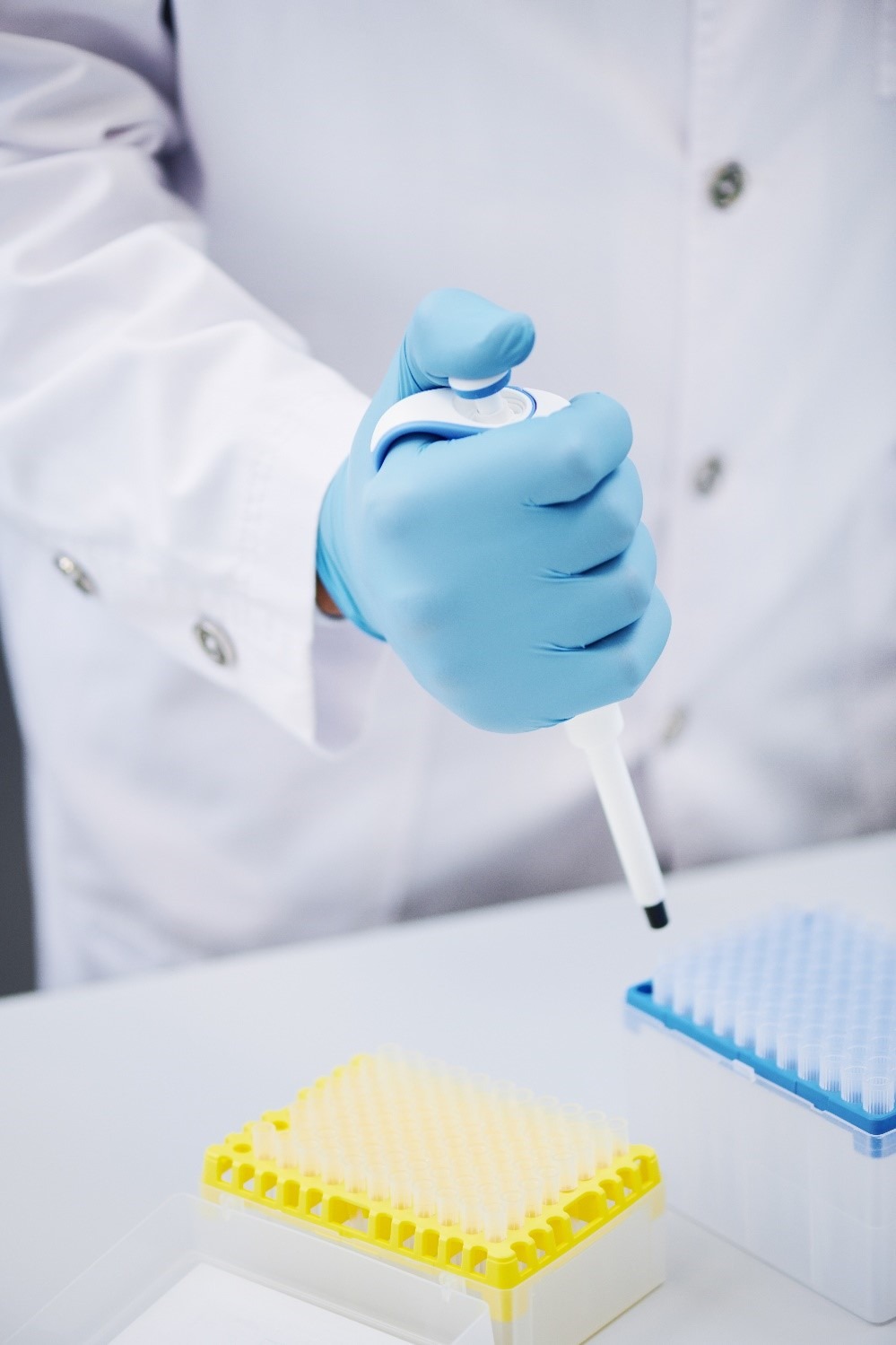 Pharmaceutical lab technician handling liquid samples with a precision pipette during drug development testing.